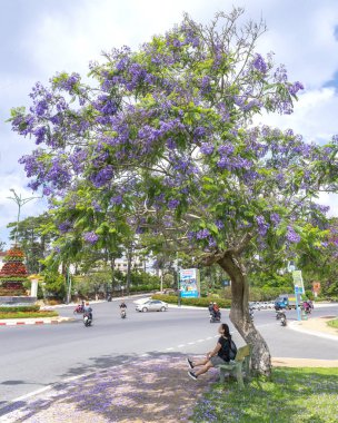 Da lat, Vietnam - 16 Nisan 2019: Jacaranda ağacının yanındaki bankta oturan küçük kız, Vietnam'ın Da Lat kentinde bir sokak köşesinde bekliyor