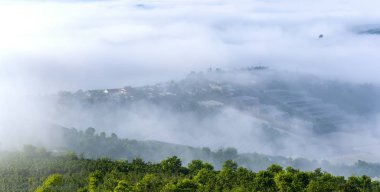 Şafak sis ile kaplı yayla çam ormanlar çok güzel pastoral kırsal Dalat Yaylası, Vietnam kefen