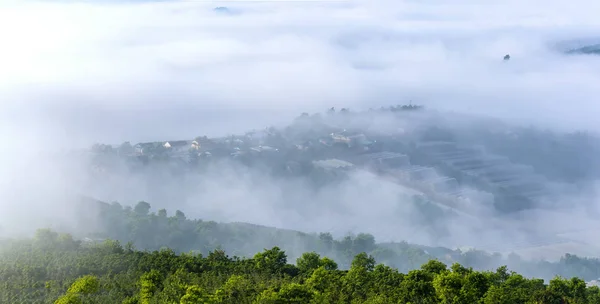 Amanhecer Planalto Florestas Pinheiros Cobertas Com Nevoeiro Envolto Tão Bela — Fotografia de Stock