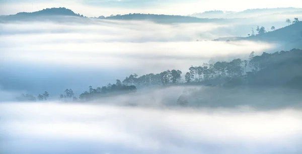 Dawn Plateau Pine Forests Covered Fog Shrouded Beautiful Idyllic Countryside — Stock Photo, Image