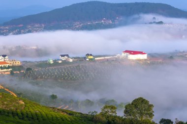 Şehir Da Lat, Vietnam yeni gün tropikal dağlık karşılamak için güzel bir sabah sis batıyor