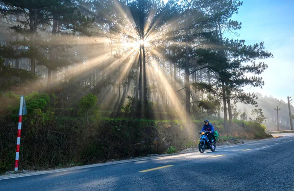 ダラット ベトナム 2019年4月17日 霧の美しい道路に輝く光線と松林を通って田舎道を運転する車やオートバイ これはダラット ベトナムの美しい道路です — ストック写真