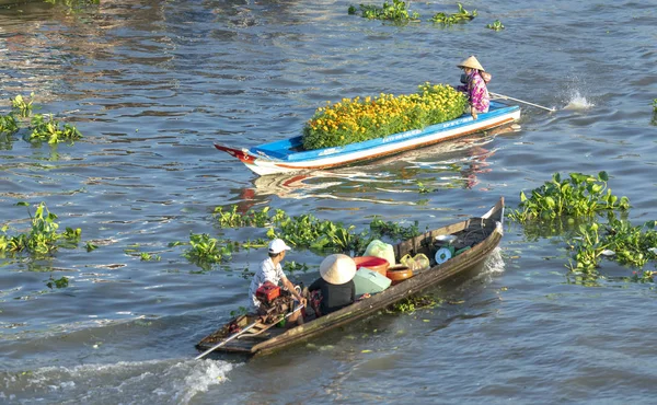 Soc Trang Vietnam Januar 2019 Bauern Transportieren Gelbe Gänseblümchen Zum — Stockfoto