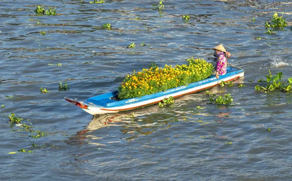 Soc Trang Vietnam Januari 2019 Boeren Vervoeren Gele Madeliefjes Naar — Stockfoto