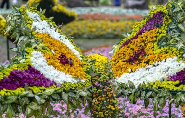 Papatyalar halı sanatı bahar bahçesinde bir kelebek şekli gibi daha tasarlanmış
