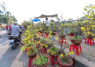 Ho Chi Minh City, Vietnam - 3 Şubat 2019: Çiçek pazarında çiçek satın alma telaş, yerliler dekorasyon amaçlı ev satın Ho Chi Minh City, Vietnam Ay Yeni Yıl ev.