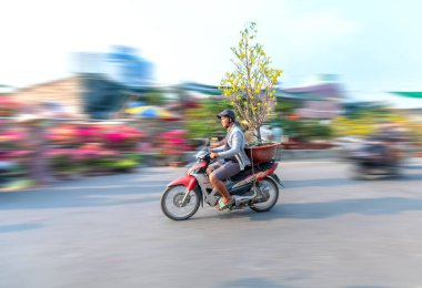 Ho Chi Minh City, Vietnam - 3 Şubat 2019: Ho Chi Minh şehrinde Ay yeni yıl için dekorasyon amaçlı ev arkasında insanlar sahibi çiçek saksı ile bir motosiklet sürüş Genç Vietnamlı, Vietnam