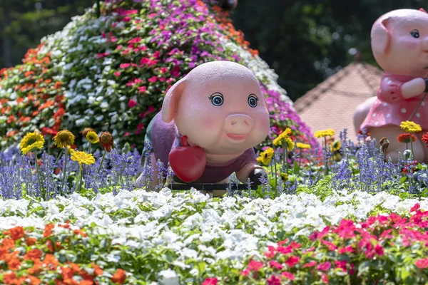 Chi Minh City Vietnam February 4Th 2019 Pig Symbol Decorated — Stock Photo, Image