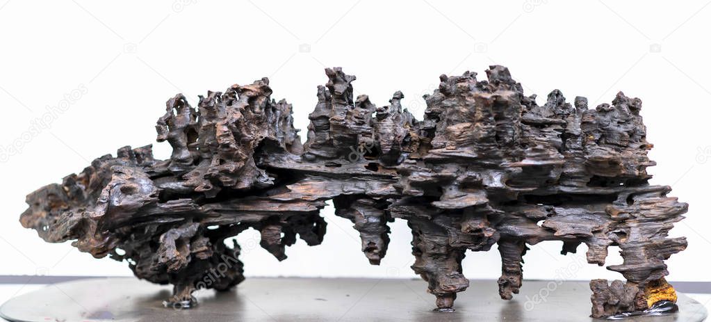 Dry driftwood of coniferous tree, old weathered relief wood