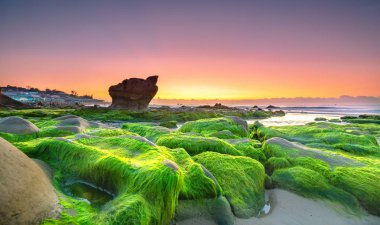 Garip taşlar yosunları ve yosunları örtüyor. Şafak söküyor. Güzel bir gün.