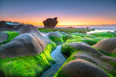 Garip taşlar yosunları ve yosunları örtüyor. Şafak söküyor. Güzel bir gün.