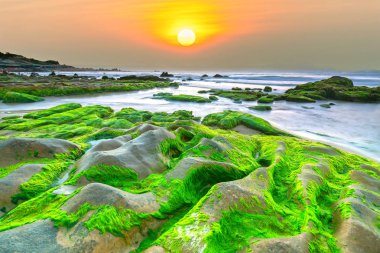Strange stones covered moss and seaweed welcomes dawn  beautiful new day clipart