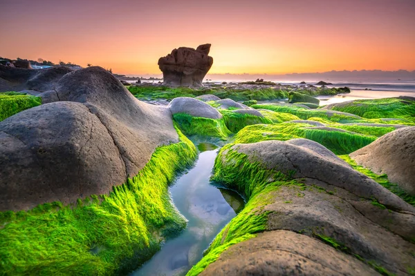 Garip taşlar yosunları ve yosunları örtüyor. Şafak söküyor. Güzel bir gün.