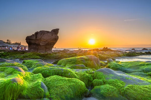 Garip taşlar yosunları ve yosunları örtüyor. Şafak söküyor. Güzel bir gün.