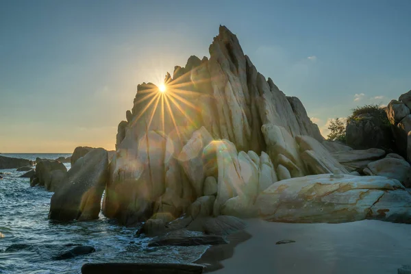 Reef covered with sun stars welcomes dawn beautiful new day