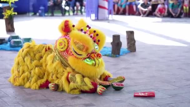 Chi Minh City Vietnam December 2018 Utövare Kostym Lejon Dans — Stockvideo