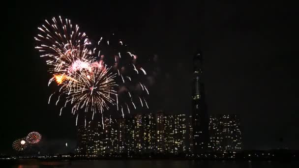 베트남의 호치민 2019 빛나는 하늘의 베트남의 호찌민 신년을 환영하는 리버사이드 — 비디오