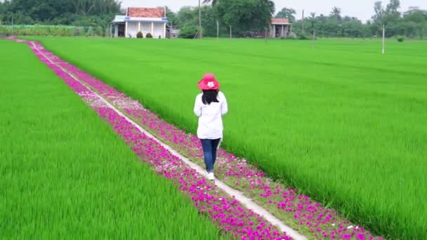 Tien Giang Vietnam Července 2019 Žena Kráčí Polní Cestě Vrací — Stock video