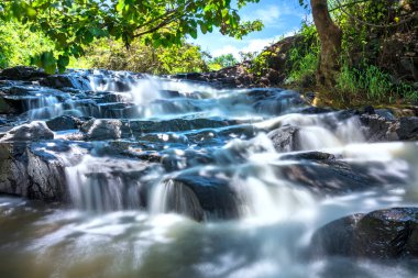 Yağmur ormanlarında akan yumuşak suyla uçurumdan akan yün gibi huzur veren bir manzara yaratır ruhu ve müziği dinlendirmek için