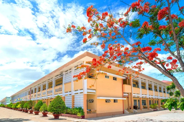 Tien Giang Vietnam Mayo 2020 Escuela Secundaria Verano Llena Flores — Foto de Stock