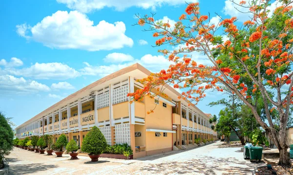 Tien Giang Vietnã Maio 2020 Escola Secundária Verão Cheia Flores — Fotografia de Stock