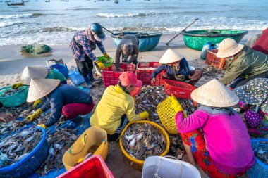 Phan Thiet, Vietnam - 12 Temmuz 2020: Deniz ürünleri pazarı oturumu denizleri, insanlar yengeçlerin, salyangozların ve balıkların içinde toplanıyor, kürek çeken balıkçı balıkları Phan Thiet, Vietnam 'daki balıkçı köyüne getirildi.