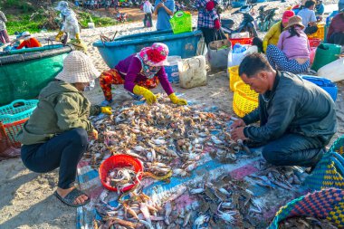 Phan Thiet, Vietnam - 12 Temmuz 2020: Deniz ürünleri pazarı oturumu denizleri, insanlar yengeçlerin, salyangozların ve balıkların içinde toplanıyor, kürek çeken balıkçı balıkları Phan Thiet, Vietnam 'daki balıkçı köyüne getirildi.