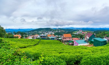 Vietnam 'ın Da Lat şehrinde fırtınalı bir günde bir çay tepesi vadisinde küçük bir köy. Burası tüm ülkeye büyük miktarda çay sağlıyor.
