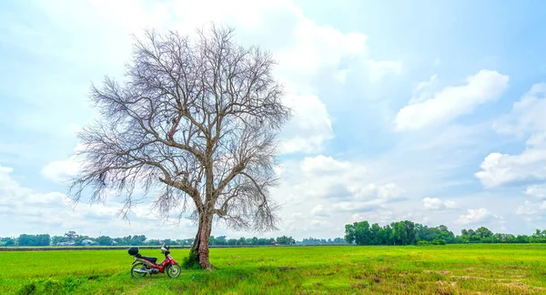 Tay Ninh Vietnam Settembre 2020 Moto Silhouette Dell Uomo Viaggiatore — Foto Stock