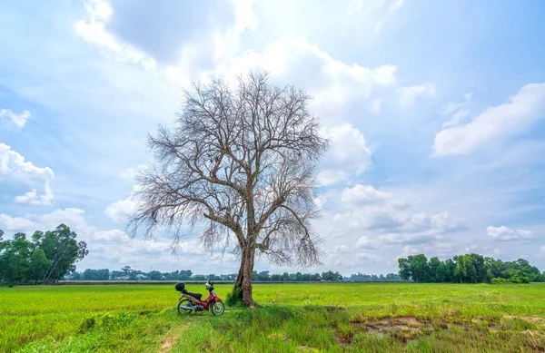 Tay Ninh Vietnã Setembro 2020 Motocicleta Silhueta Homem Viajante Sob — Fotografia de Stock