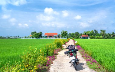 Tien Giang, Vietnam - 2 Eylül 2020: İki taraftaki siluet motosiklet Portulaca çiçeği sabah güzel bir çiçek açarak kırsal kesimde güzel bir manzara oluşturuyor