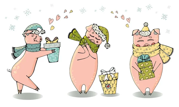 Trio domuzları Noel ve yeni yıl hediye