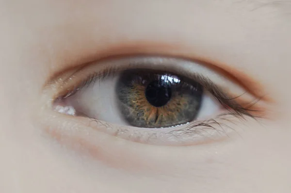 Close up of beautiful eye, open eye — стоковое фото
