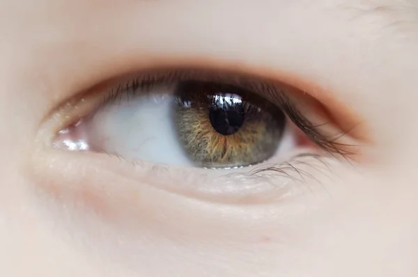 Nahaufnahme eines schönen Auges, eines offenen Auges — Stockfoto