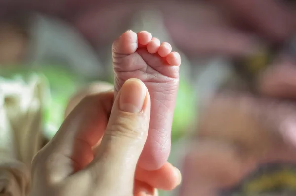 Baby s fötter närbild bild. Mor s händer som håller barn s fot. Liten flicka s fingrar framtill. — Stockfoto