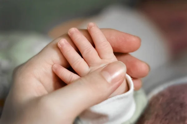 Fechar a mão babys colocar na mão mães. Mãe a amamentar bebé. mãe e bebê menino relaxar em casa. Interior do berçário. Mãe amamentando bebê. Família em casa. As mães adoram. foco selecionado — Fotografia de Stock