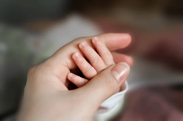 Fechar a mão babys colocar na mão mães. Mãe a amamentar bebé. mãe e bebê menino relaxar em casa. Interior do berçário. Mãe amamentando bebê. Família em casa. As mães adoram. foco selecionado — Fotografia de Stock