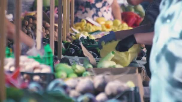 과일 및 야채가 게에서 카운터에 신선한 야채 시장. 도시에서 거리에 자발적인 시장 — 비디오