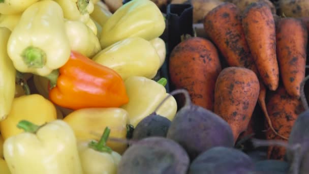 Frukt- och grönsaksmarknaden färska grönsaker på disken i butiken. Spontan marknaden på gatan i staden — Stockvideo