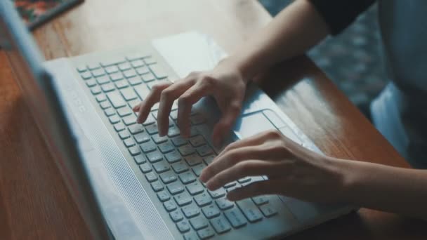 Jeune femme d'affaires travaillant au bureau partagé dans le bureau branché de démarrage de hipster utilisant des mégadonnées sur l'ordinateur portable — Video