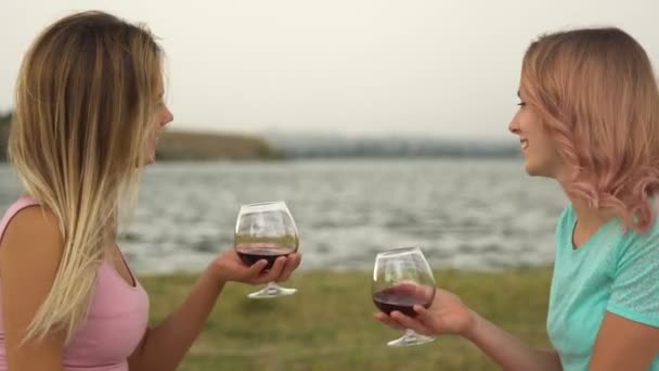 여자 친구는 해변에서 와인을 마십니다. 여자 친구는 해변에서 피크닉을 개최 — 비디오