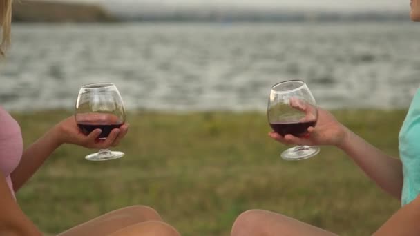 Vriendinnen drinken wijn op het strand. Vriendinnen geënsceneerd een picknick op het strand — Stockvideo