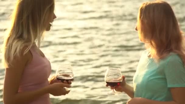Девушки пьют вино на пляже. Девушки устроили пикник на пляже — стоковое видео