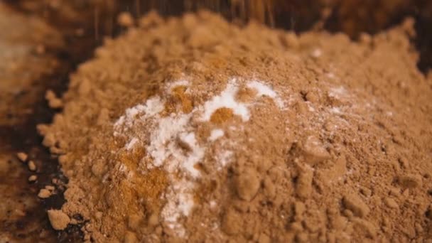 ココアパウダーを小麦粉のボウルに注ぐ-閉じます。ココアパウダー、小麦粉、バニラ、砂糖、チョコレートパウダーでデザートを準備します。食物の調製. — ストック動画