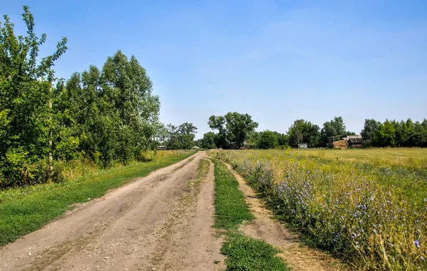 Country road against the blue sky — Stock Photo, Image