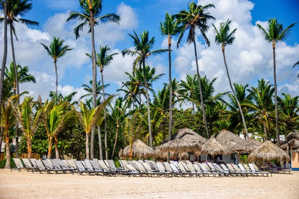 Tumbonas de playa vacías — Foto de Stock