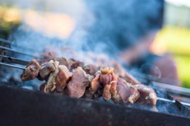 Shashlyk bir Barbekü ızgara üzerinde kömür hazırlama