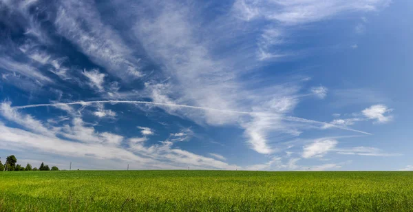 Summer Rural Nature Landscape Perfect Sky — Stock Photo, Image