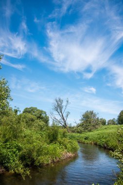 Nehir ve ormanlı manzara