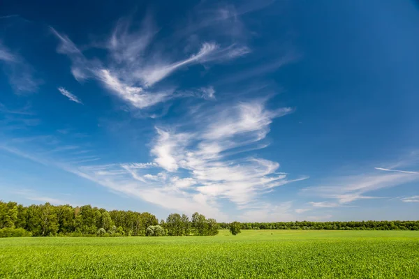 Landscape with perfect sky — Stock Photo, Image